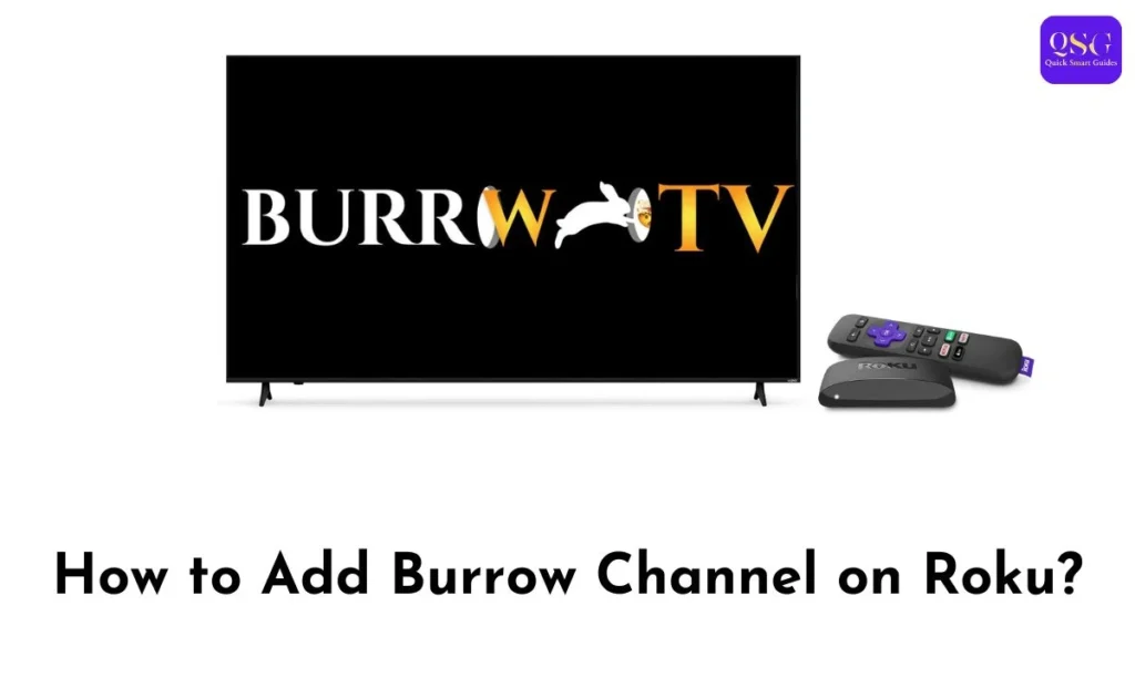 Burrow Channel on Roku