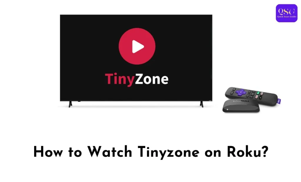 Tinyzone on Roku